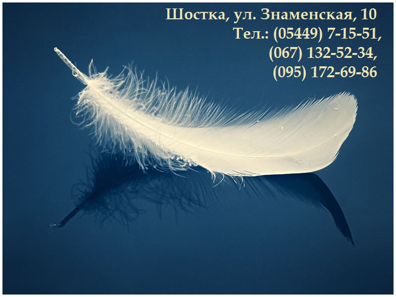 Миниатюра записи